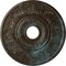 Ekena Millwork Vienna Ceiling Medallion (Canopies up to 6 1/2"), 20"OD x 3 1/2"ID x 1 1/2"P, Bronze Blue Patina CM20VIBBS - alternate 1